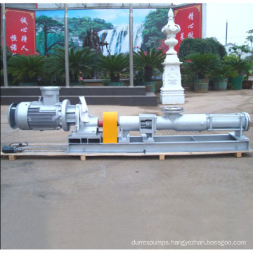 Hot Sell with Motor G Singe Screw Pump